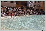 tapzu_070714_0352.jpg